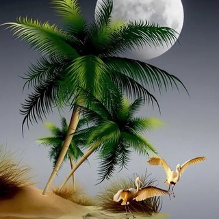 🎋🎵🎶ШЕРИЯТ..🎷🎺.ГУЛШАНИ🎶🎵📿