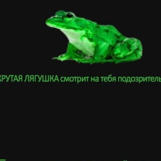 Самая главная жабка