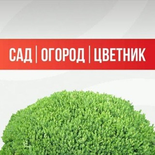 Сад Огород Цветник