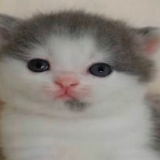 слушаю музыку