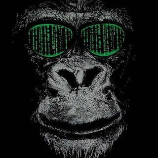 Ape season : Altcoin money