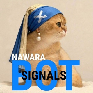 Nawara Signals | BingX