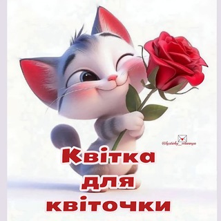 ЗНАЙОМСТВА ЧАТ. ФРАНКІВСЬК < >ЛЬВІВ