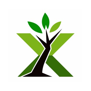 Мастерская Xcraft