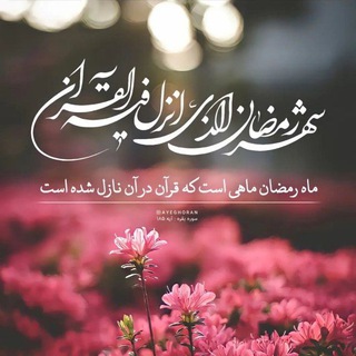 علیرضا نوبخت