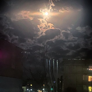 Мяу