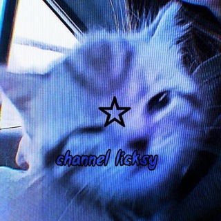🌷channel licksy🩻