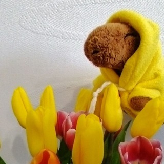 🌷Пискун блог🌷