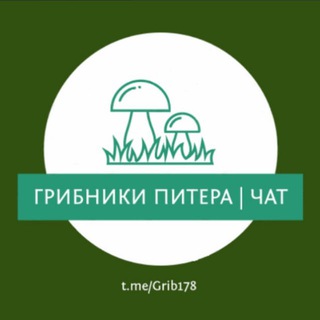 Чат 🍄 Грибники Питера и Лен. Области, Карелии - Отчеты | Места | Общение