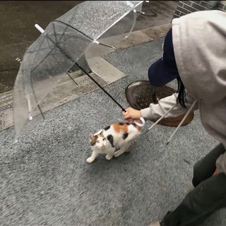 路遥 （资金往来请语音验证）