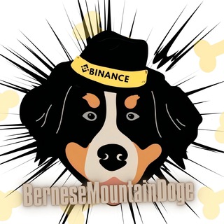 Bernese MountainDog