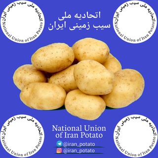 اتحادیه ملی سیب زمینی ایران