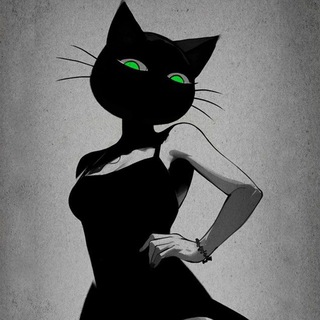 Cat 🖤