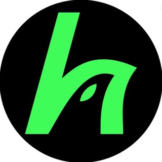 HawkFi | Agent Terminal