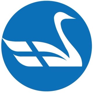 Suomalaiset Telegramissa - Kanavat Ja Ryhmät