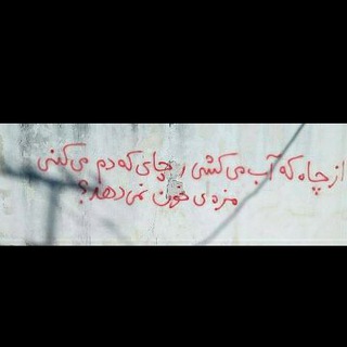1500Tasvir