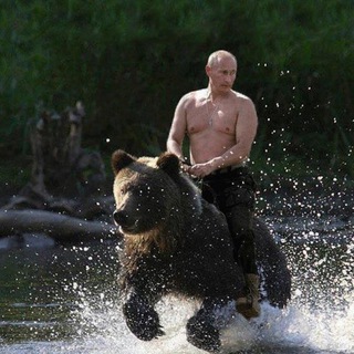 Архив цп
