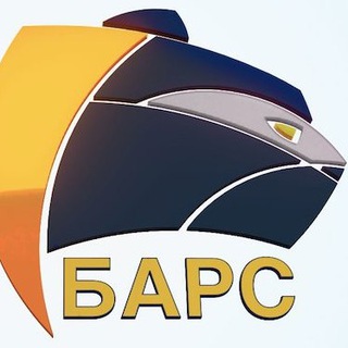 Барс Ivanovonews