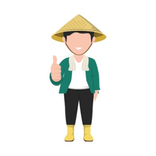 Nông Dân Trồng Lúa - ST25