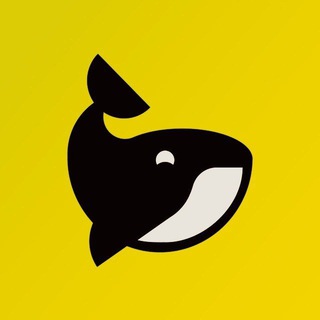 Chris Vu | WEB3 Builder