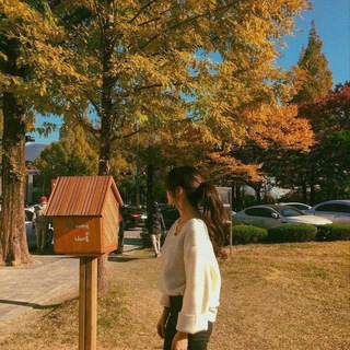 ਈਓ 🍁౿౿ ⲭ૯ʌʌ๑๑ƴυⲏ ς ϶ⲙⲙυ 𓂃 の日📦 ꒱ ꒱