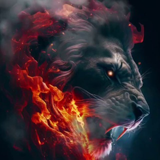 الصياد