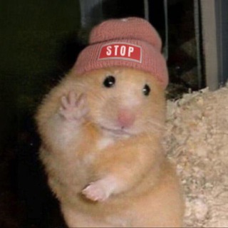$STOP