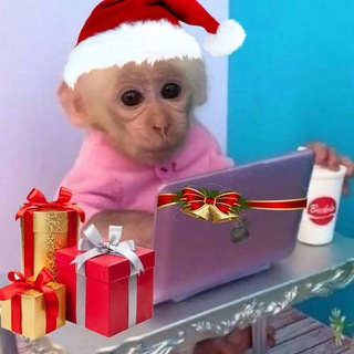 Обезьянки гиф!🐒🙊