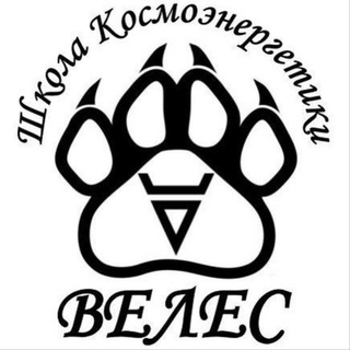 Отзывы