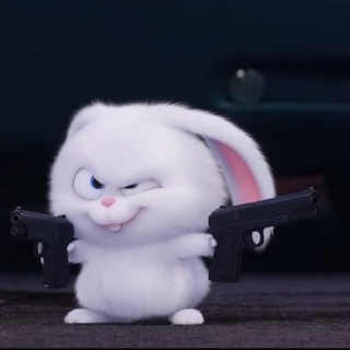 ksenix?