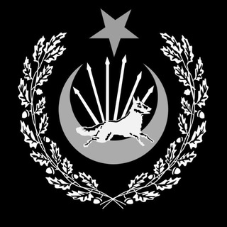 ÜLKÜCÜ HACK