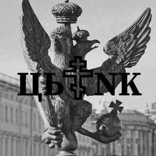 𝐂𝐘𝐍𝐊 | 𝐈𝐌𝐏𝐄𝐑𝐈𝐔𝐌