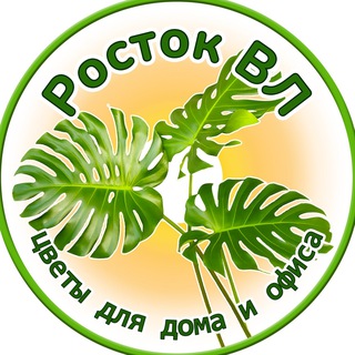 РостокВл 🪴 Rostok_Vl Владивосток
