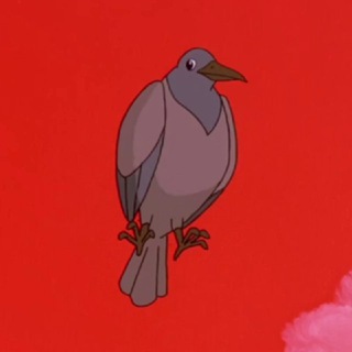 It’s a bird.