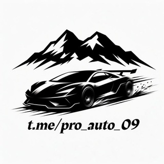 pro_auto_09