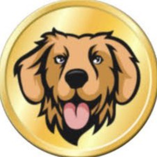 The Real Golden Inu
