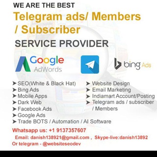 Website seo and telegram or Google ads experts