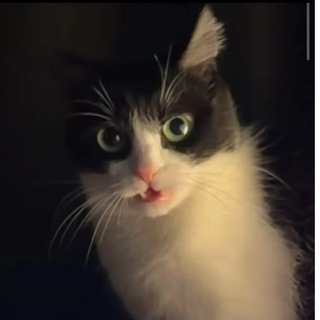 Helen