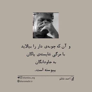 Ali