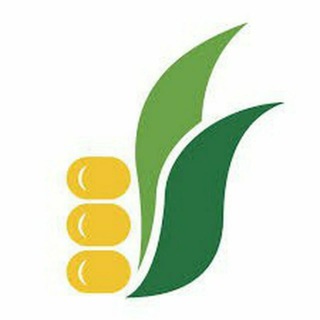 AGRO BOZOR 21 ASIR