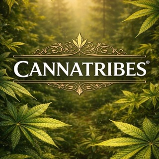 Bộ Tộc Cannatribes