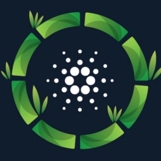 Channel Cardano ECO Talk | TreViet