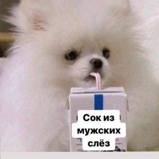 FilinaKatka
