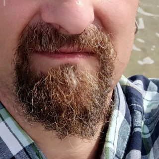 Robbtor