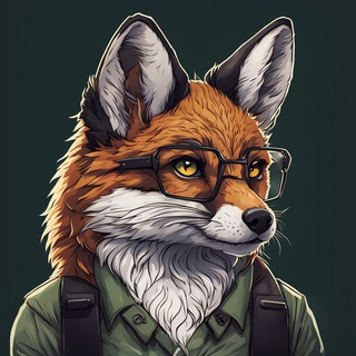 Coin Explain 🦊