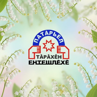 "Батыревское землячество", Общественное движение