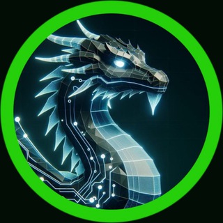 Digital Dragons🐲