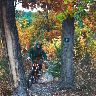 Vitalii Saienko
