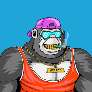 In Apes We Trust | Shilling Room V2