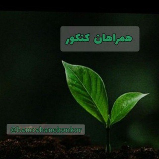 نتایج همراهان کنکور 🌱